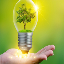 éolienne et l'écologie